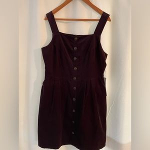 Birds of North America cord dress